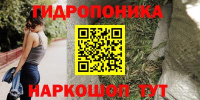 трава Бийск